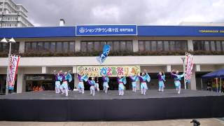 浜寺M 1隊　堺よさこいかえる祭り2015噴水広場会場