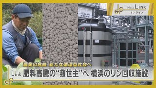 農業の危機、肥料高騰の