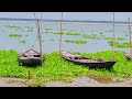 বাংলাদেশের প্রাকৃতিক সৌন্দর্য bd beautiful nature