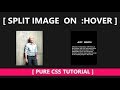 Split image on :HOVER  ||  CSS 3D Effect -- Tutorial for beginners