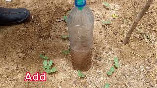 Secret Weapon For Exploding Vegetable Growth Just a Few Hours