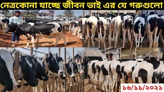 মঙ্গলবারের পাবনা অরনখোলা হাট আপডেট।।১৬/১১/২০২১।।pabna aronkhola hat।।16/11/2021।।aronkhola hat vlogs