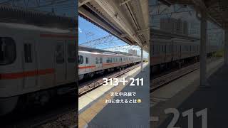 313＋211  久々に中央線に313系が走りました #jr東海