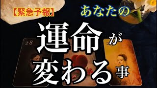 【重要🌸】もうすぐ🌟あなたの❤️運命が変わる事🌈恐ろしいほど当たるルノルマン🔮