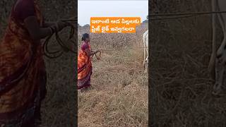 పల్లెటూరి పిల్ల దాన్ని #agriculture #please vairal #సబ్స్క్రయిబ్ #ప్లీజ్