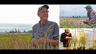 FoodWISE—bread and Bread Lab, coronavirus models that make sense