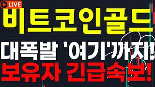 🔴[비트코인골드 코인전망]🎯대폭발 \