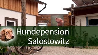 Hundepension Salostowitz ► Hundepension Regensburg Umgebung