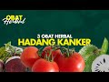 3 Buah Ini Bantu Jaga Kebugaran Tubuh dari Penyakit K4nker | Herbal