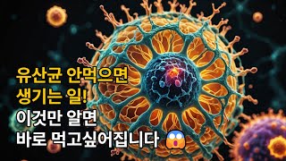 유산균 안 먹으면 생기는 일