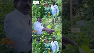 எங்கள் மொட்டை மாடி தோட்டத்தில் கலர் கலராய் இட்லி பூக்கள் | Anitha Kuppusamy Terrace Garden Vlog