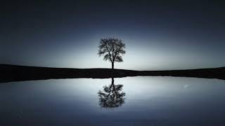 Seclusion- The Tides ~1 Hour of relaxing music