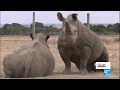 Eye on Africa: the last male north white rhino dies