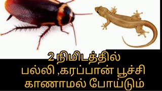 கரப்பான்பூச்சி,பல்லி இருந்த இடம் தெரியாமல் ஓடி போகும் #கரப்பான்பூச்சி