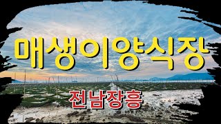 장흥매생이양식장의아침4K영상 Timelapse(Jangheung Maesaengi Fish Farm Morning 4K Video Timelapse