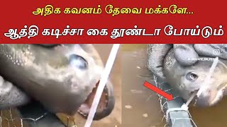 இனி அதிக கவனம் தேவை மக்களே..! வைரல் வீடியோ | Fish Cuts Wire with Teeth | NEWS7SEITHIGAL