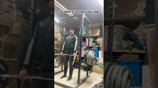 Deadlift Everyday Day 166 : That’s more like it