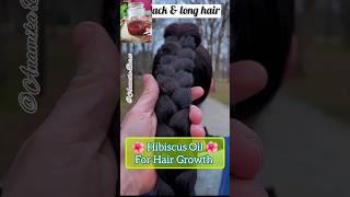 Hibiscus Oil For Hair Growth/hair growth oil for fast hair growth #hairfall #haircare #viral #shorts