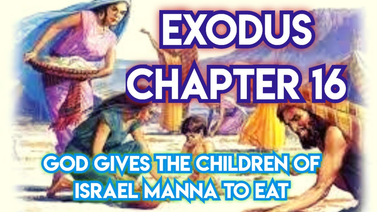 The Holy Bible Exodus Chapter 16 Kjv Youtube