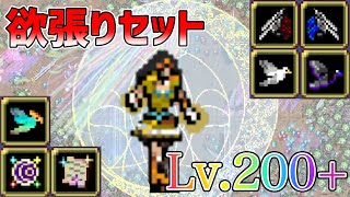 Greedy configuration of the new equipment/Christina using the new equipment and surpassing lv200+