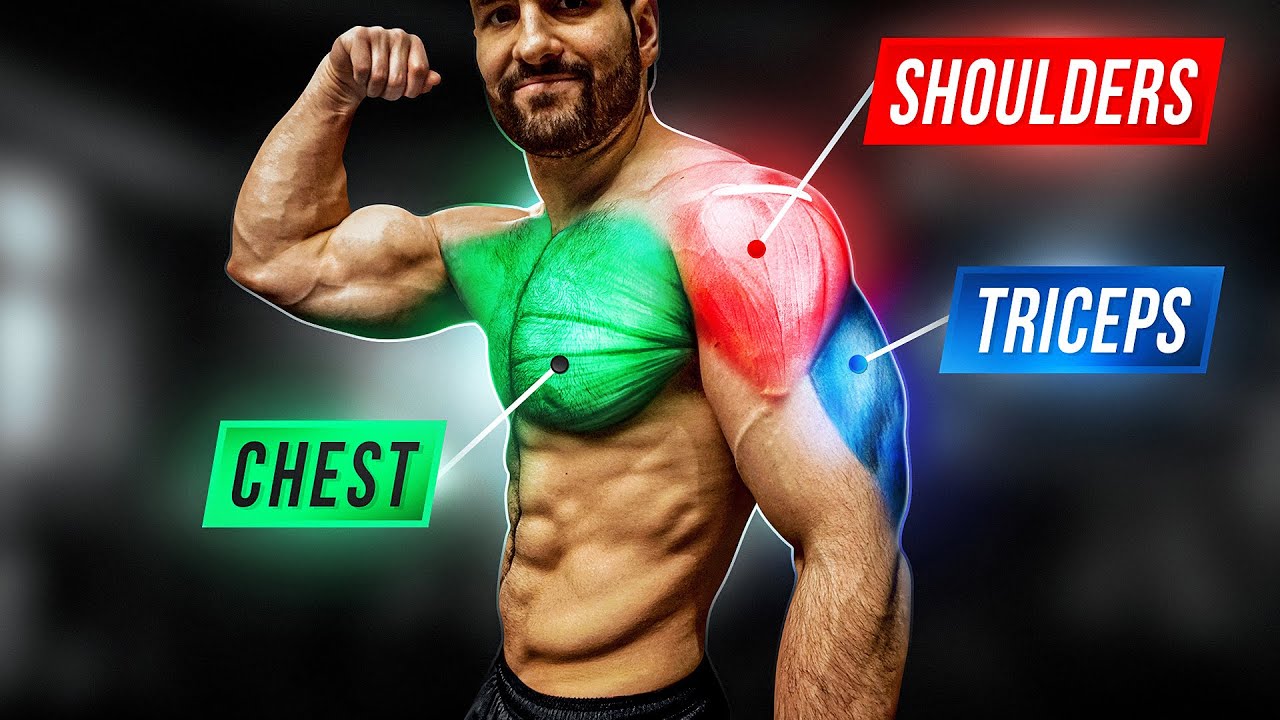 Chest Shoulder Tricep Workout Eoua Blog