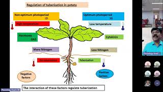 Guest lecture- Crop physiology -Tuberization in Potato