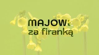 Była cicha i piękna jak wiosna  - (Nie tylko) Majowe za firanką - Most do nieba music