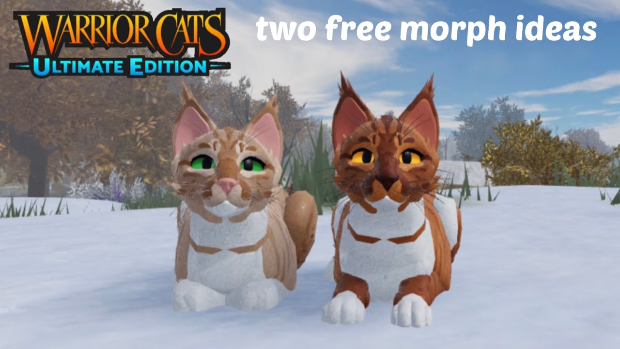 Two Free Wcue Morph Ideas Warrior Cats Ultimate Edition Roblox