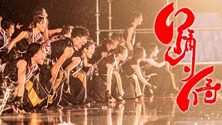 【公式】踊り侍 23 仁 よさこい全国大会 中央公園競演場