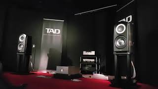 TAD R1TX \u0026 M700S High End Audio.