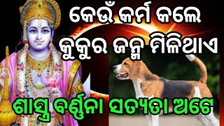 କେଉଁ କର୍ମ କଲେ କୁକୁର ଜନ୍ମ ମିଳିଥାଏ ।। ଶାସ୍ତ୍ର ବର୍ଣ୍ଣନା ସତ୍ୟତା ଅଟେ