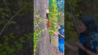 Indian giant squirrel | Wayanad 🤩🥰😘