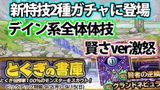 【どこパレ】新特技2種登場！デイン系全体体技\u0026賢さxer激怒！？【どこでもモンパレ】