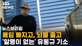 배임 빠지고, 뇌물 줄고…'알맹이 없는' 유동규 기소, 왜? / SBS / 주영진의 뉴스브리핑