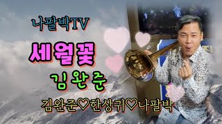 나팔박TV 가수 김완준 세월꽃(21년 신곡) 작사/김현진 작곡/송광호