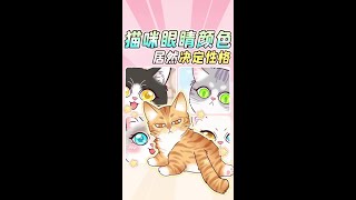 🙀猫咪的性格居然藏在眼睛里！尊嘟假嘟O.o？#新手养猫 #喵星人 #养宠进阶指南 #养猫人