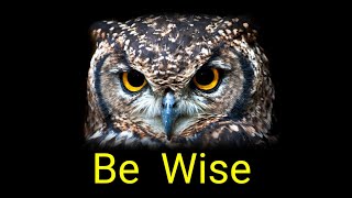 Be Wise | Motivational Video | Moral Story in English | Best Stories and Quotes 4 U