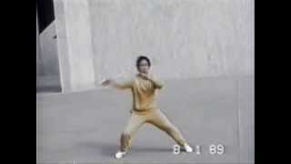 太極螳螂趙竹溪入室弟子鄧成寧師父駱家劍.wmv Lok Gar Gim (Revised Sword)