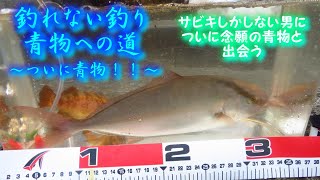 釣れない釣り　青物への道　～ついに青物！～　岩手県　北三陸