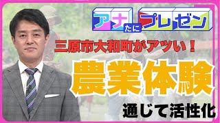 広島県三原市大和町がアツい！【アナたにプレゼン・テレビ派】