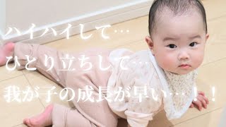 【👶ハイハイ、ひとり立ちの8ヶ月】