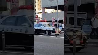 明日公開！【福岡県警】210系パトカー・ミニパト緊急走行