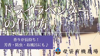 【簡単＆香りが長持ち】ドライラベンダーの作り方　～楽しみ方も色々♪入浴剤や芳香・防虫に～【ネオナチュラル母袋有機農場】