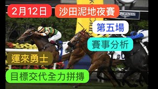 2月12日  沙田泥地夜賽  運來勇士 目標交代全力拼摶｜賽馬貼士​​​​​​​｜賽馬賠率​​​​​​​​​​​​​​​​​​​｜沙田泥地夜賽