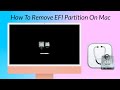 How To Delete EFI Partition in macOS