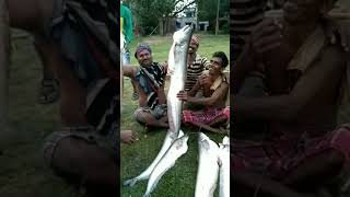 OMG! Big Boal fish hunting🐠🐋#ytshorts#shorts#viral #trending #ks village fishing