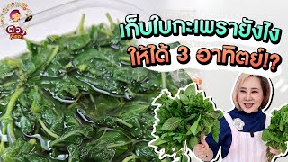 เคล็ดลับ เก็บกะเพรา โหระพา ใบแมงลัก ยังไงให้ได้ 3 อาทิตย์? l ตวงตั้งเตา