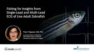 Fishing for Insights from Single-Lead and Multi-Lead ECG of Live Adult Zebrafish