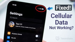 How to Fix Cellular Data Not Working on iPhone (10 Ways)