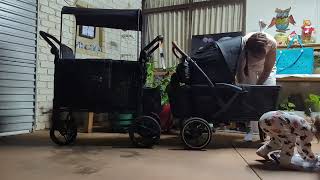 Larktale Sprout - Single to Double Stroller Wagon - Australian User Review